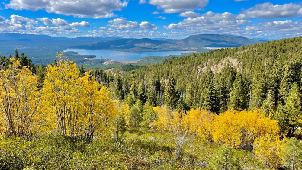 The U.S. Department of Agriculture (USDA) is proposing rescinding the 2001 Roadless Area Conservation Rule, which protects about 45 million acres (182,000 square kilometers) of National Forest System ...