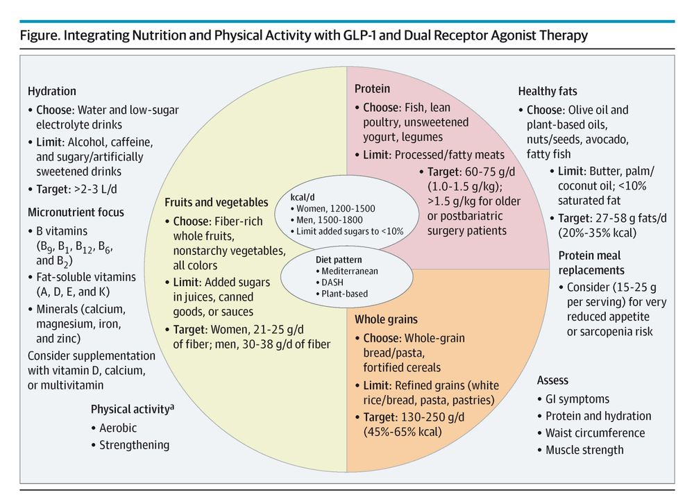 A pie chart titled, "Integrating Nutrition and Physical Activity with GLP-1 and Dual Receptor Agonist Therapy." It details dietary recommendations, including hydration, micronutrients, fruits, protein, healthy fats, and whole grains.