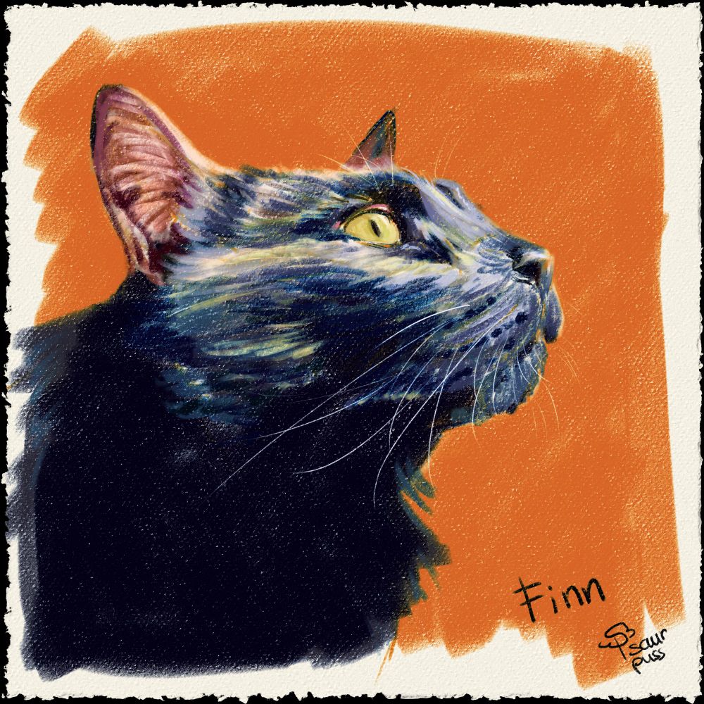 digital pastel cat portrait of a black cat looking into the distance (probably fantasizing about food) on a dark orange backrgound