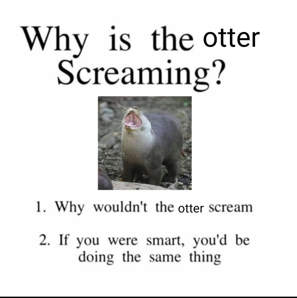 Why is the otter screaming?
(the reposted image of an otter seemingly screaming)
1. Why wouldnt the otter scream
2. If you were smart, you'd be doing the same thing

Its an edit of the same meme that originally had a cat instead of an otter
