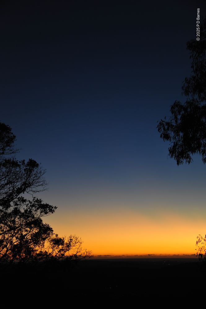 A portrait-orientation clear-sky dawn. The sun is yet to rise, the dark plain below is black, and the sea on the horizon barely liminal. Above it the slightest of distant cumulus, and then a clear orange glow, seeping upwards like watercolour, slowly merging to blue that deepens higher and higher towards azimuth. On the left, low, and on the right, high are the dark partial silhouettes of two close trees, the one on the left clearer against the brighter horizon, the one on the right a dark texture against the deep blue.