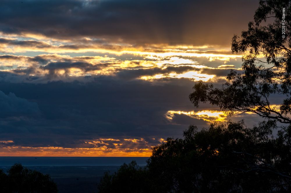 A richly layered sunrise, with a slate blue ocean, apricot horizon with rays, dark cloud and blazing light higher in the sky. Framed by a large eucalypt in silhouette.