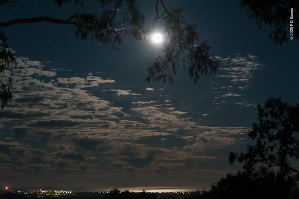 A full moon blazes through the leaves of an overhanging bough. underneath it, the lower part of the deep blue sky has a front of ragged clouds, lit white by the moon. Below, the distant sea is gleaming in the moonlight, and there is the twinkle of lights from a town on the seashore. Another tree silhouette frames the rich-hand side of the picture.