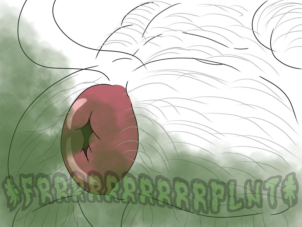 A close-up of a white ass full of gray hair,the anus is big, pink and has a donut shape. The anus is releasing a green cloud fart, covering the camera with the green gas