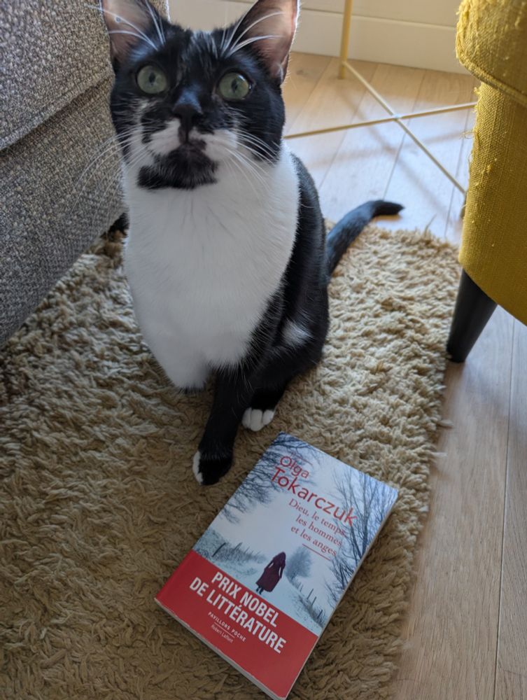 Photo de ma chatte Hécate avec le livre Dieu, le temps, les hommes et les anges d'Olga Tokarczuk.