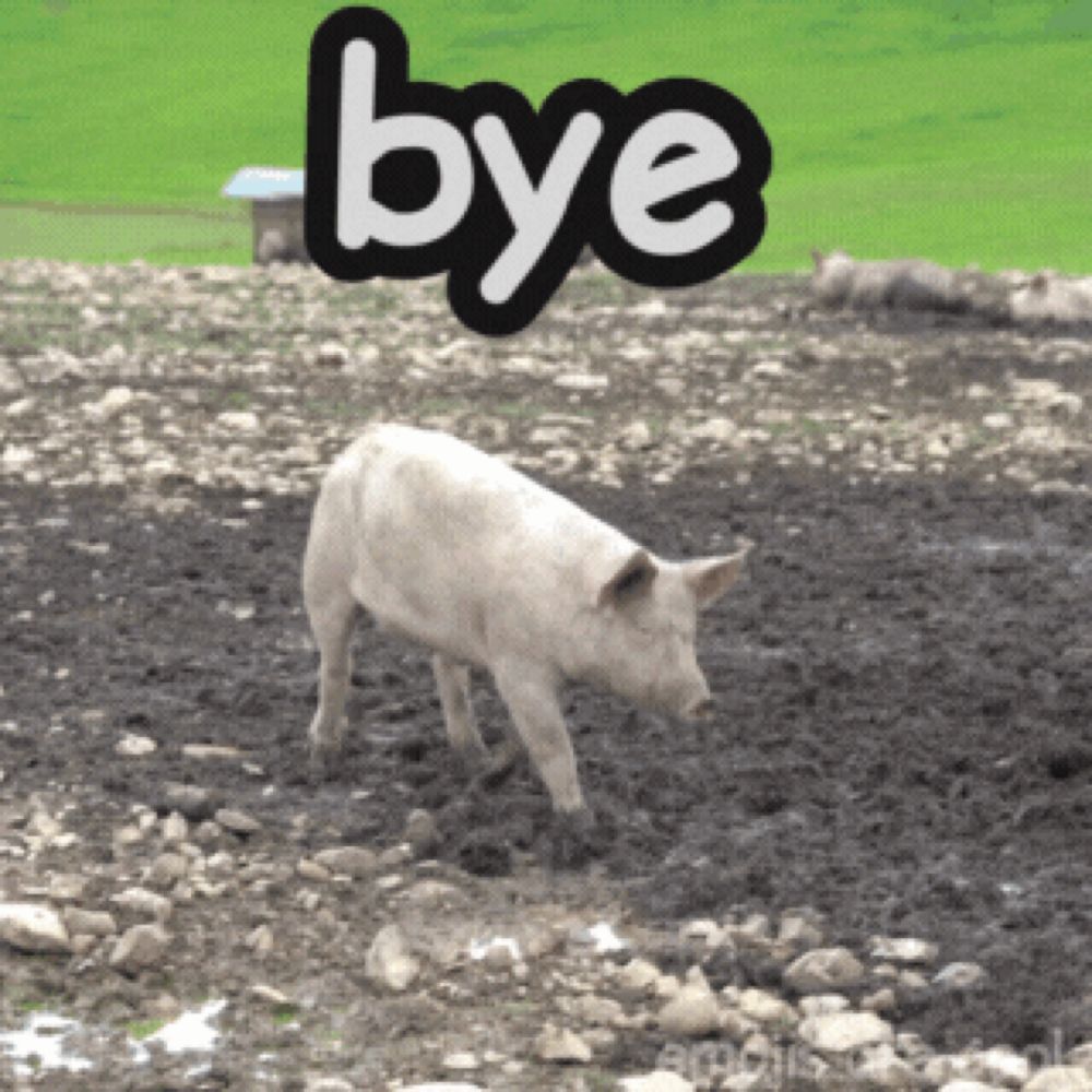 a picture of a pig in a muddy field with the word bye above it