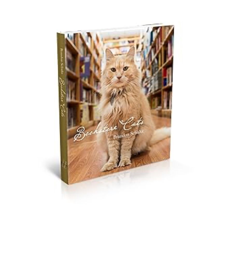 Bookstore Cats: Schultz, Brandon: 9781943876525: Amazon.com: Books