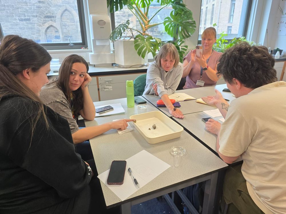 Students observing snails 