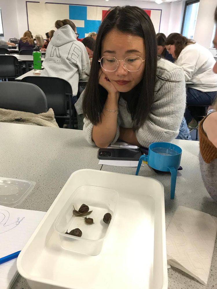 Students observing snails 