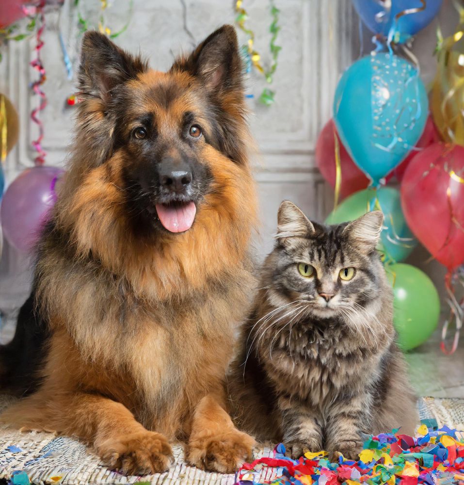 Resolutions for Healthy Pets (and Pet Owners) -