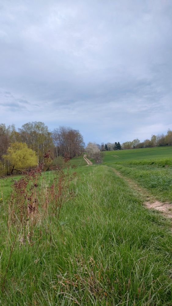 Wanderweg in hügeliger Landschaft. 