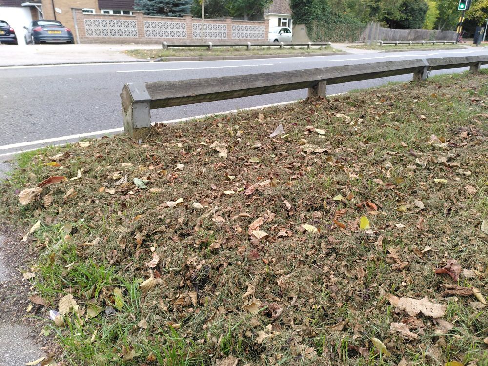 Photo of grass verge beside Headley Way OX3, trimmed to within an inch of it's life.