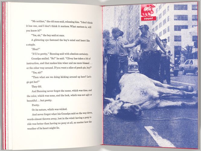 The Associates Fund in honor of Riva Castleman