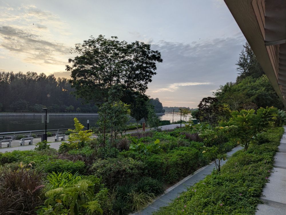 A view of the Punggol Coast park connector