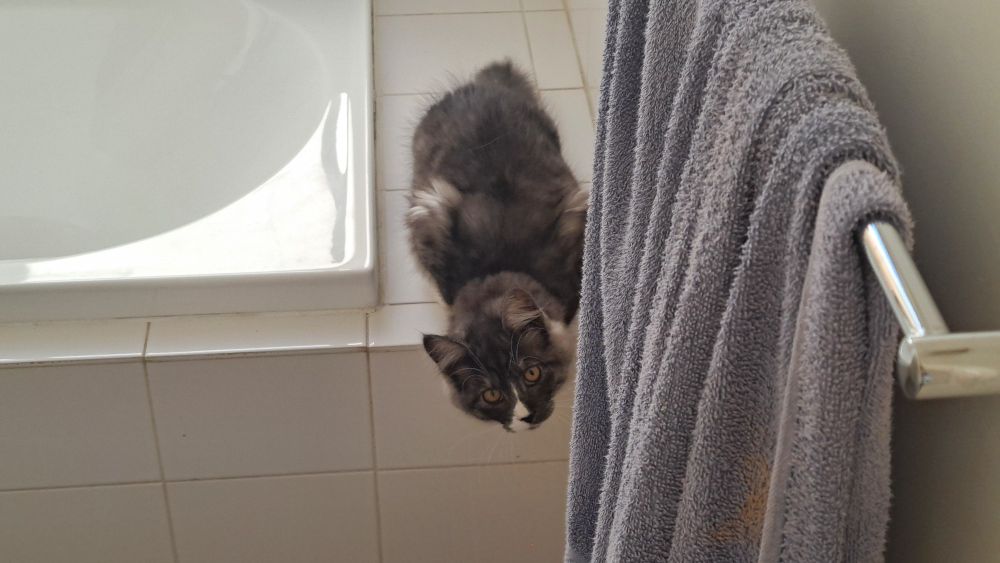 Luna in her natural habitat