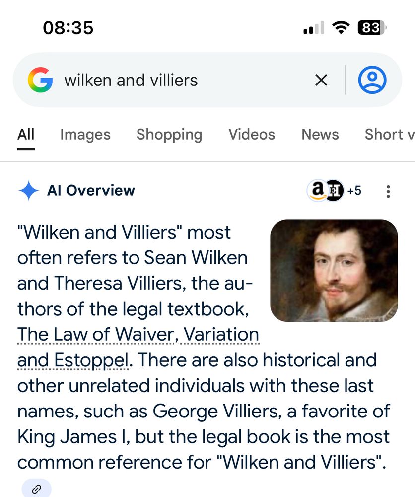 AI overview of Wilken and Villiers search 