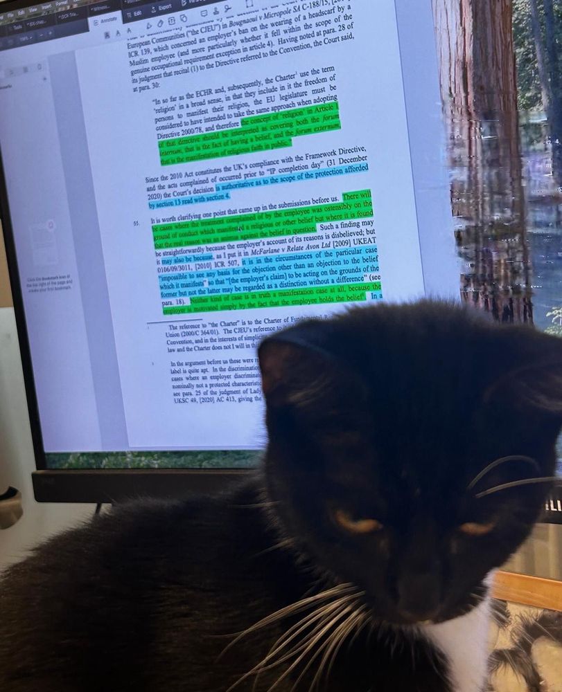 Pepper (cat) on my desk