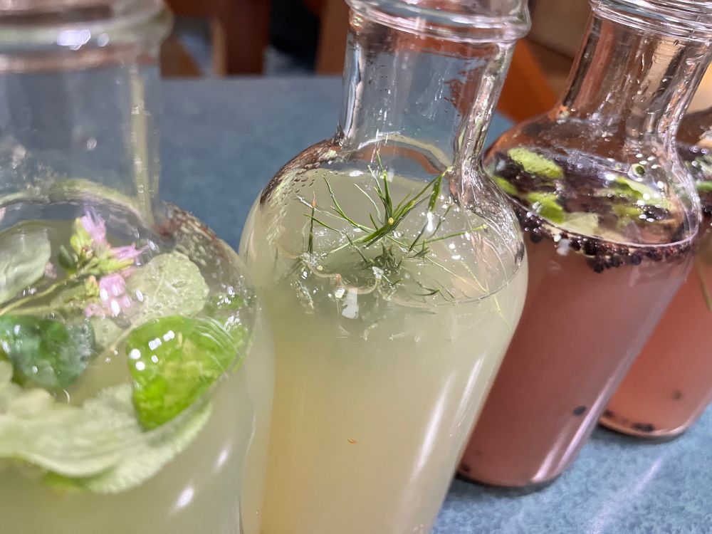 Beautiful close-up of the filled (about to be sealed and shaken) kefir bottles. Gorgeous!