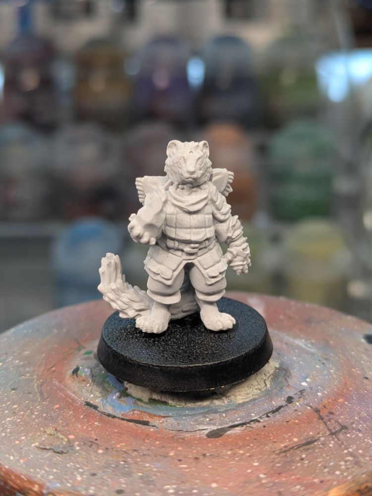 Ferret Miniature 