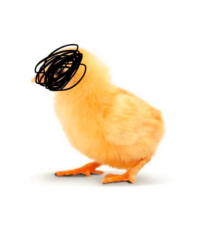 Comment image