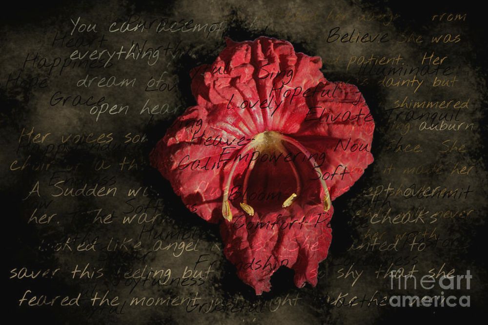 Red Flower on Grunge Text by Colleen Cornelius