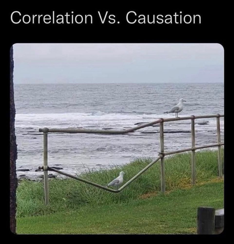 Image of a seagull standing on a bent metal rail. 
