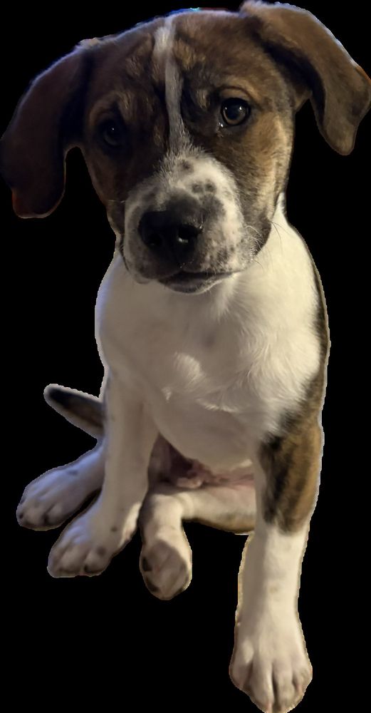 Don’t let his cuteness fool you! He’s a devil when he doesn’t get his way. 