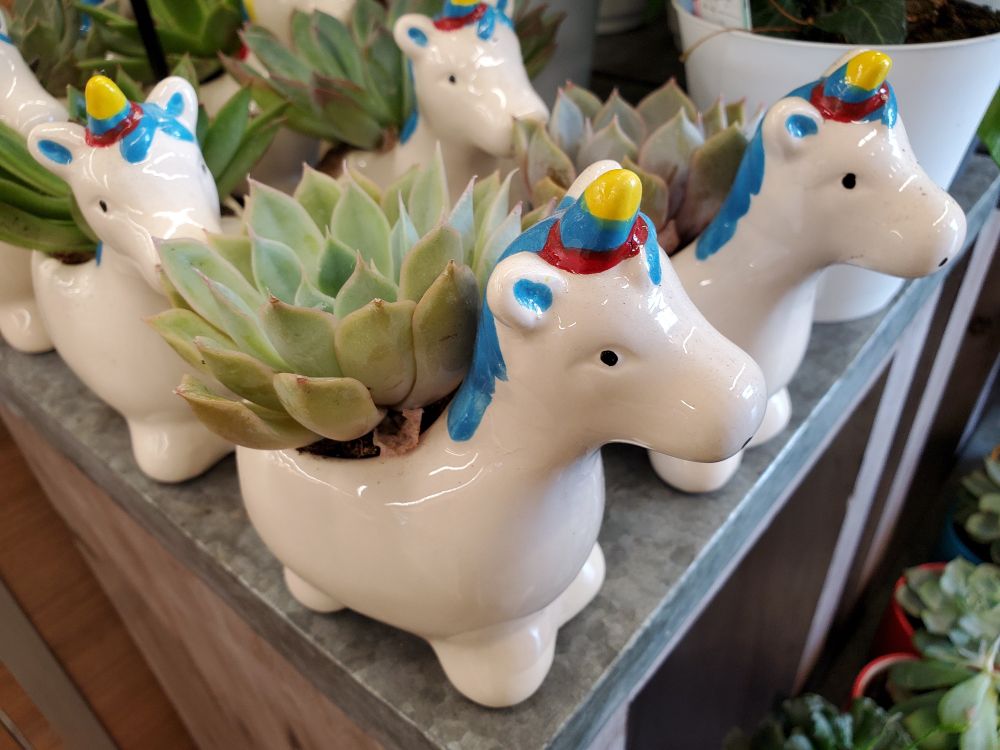 Small succulent plants in decorative pots that resemble cartoon unicorns