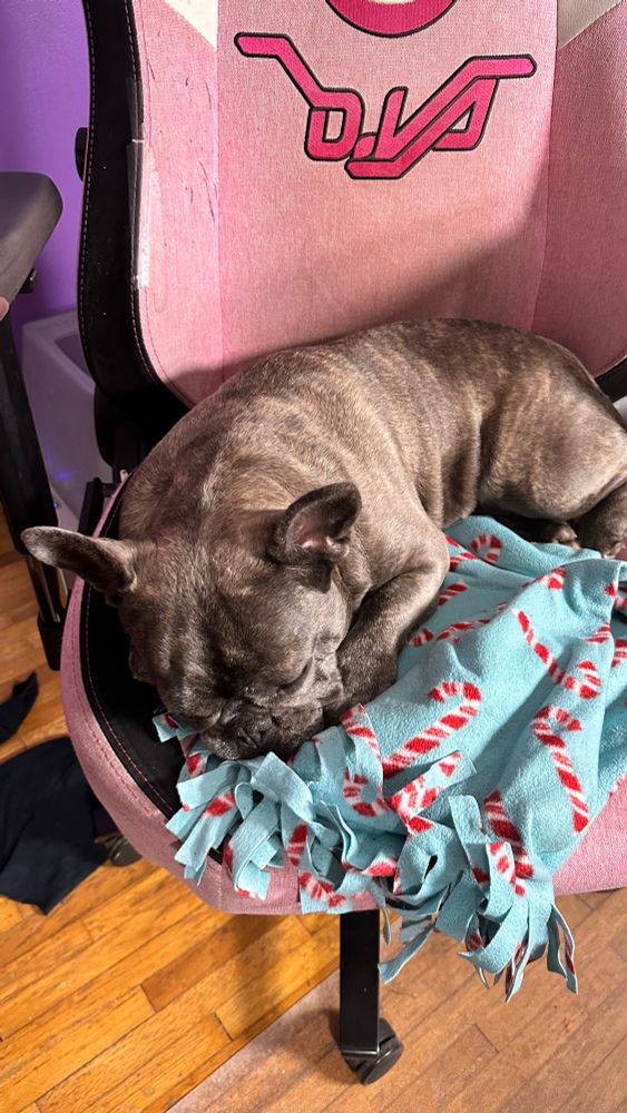 The image shows a brindle French Bulldog, Ivy, sleeping peacefully on a light pink gaming chair with “D.Va” branding from the video game Overwatch. She is curled up on a cozy, festive fleece blanket with a teal background and red-and-white candy cane patterns. The chair is placed on a wooden floor. The lighting highlights her shiny coat and relaxed posture, capturing a moment of calm comfort.