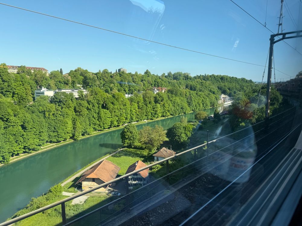 Another pretty green train window view 
