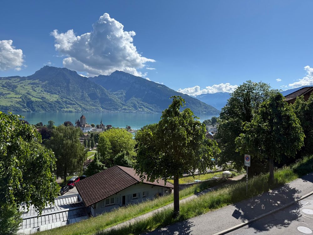 The view of the lake at Spiez with mountains 