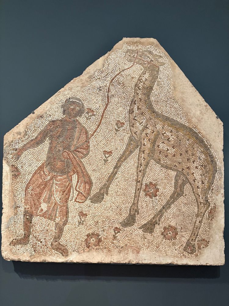 Rather marvellous mosaic fragment depicting a Man Leading a Giraffe. C 5th AD; Byzantine; Eastern Mediterranean, probably Syria. Stone in mortar. In the collections of @artinstitutechi.bsky.social (inv. 1993.345). Photo is my own, taken June 2025. #MosaicMonday #AncientBluesky