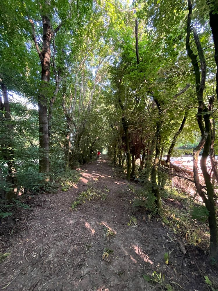Pálffy alleys