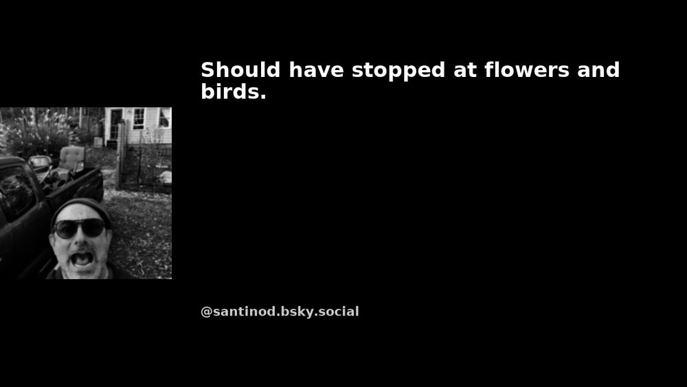 A stylized image containing a quote from a BlueSky post. Made by TheQuoter bot.