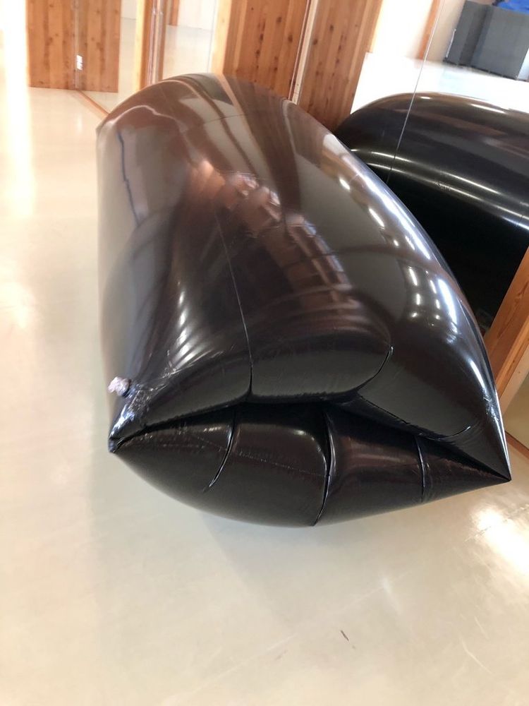 Another view of the shiny black inflatable torus, showing the opening. When inflated, it squeezes whoever is inside.