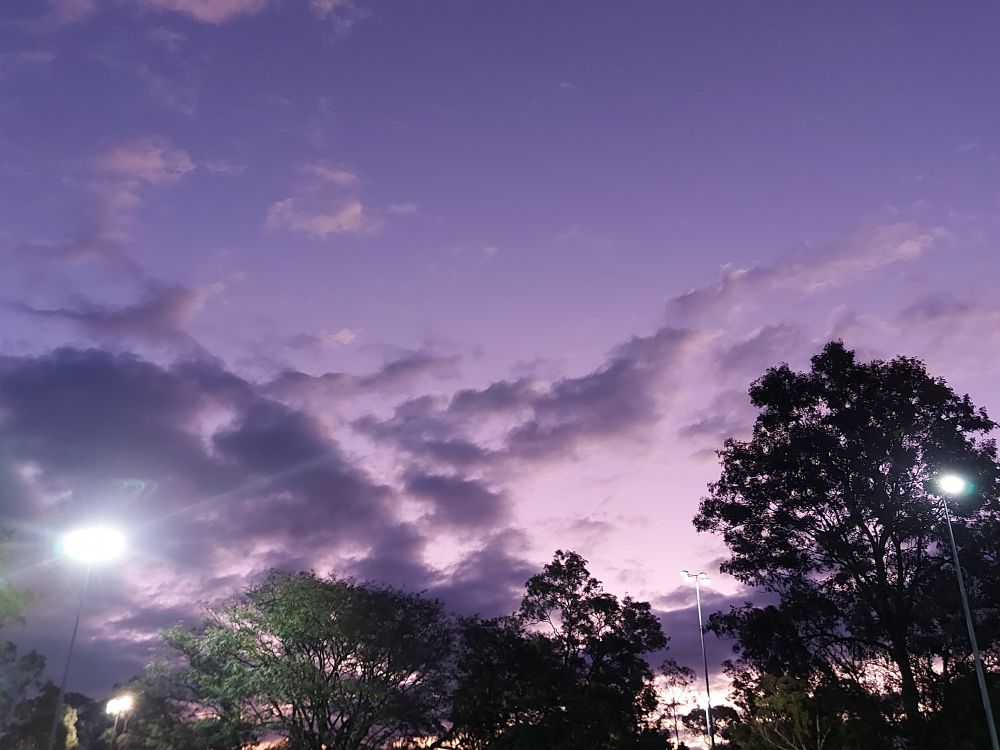 Purple dusk sky fading to light pink partially covered in purpley-grey clouds. Trees and floodlights are still watching.