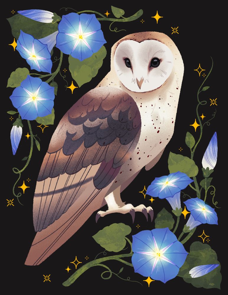 A barn owl surrounded by blue morning glories on a black background 