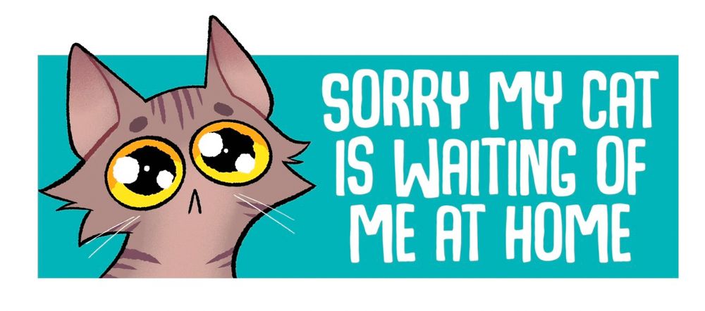 Sad tabby looking at you with the caption ’SORRY MY CAT IS WAITING OF ME AT HOME’