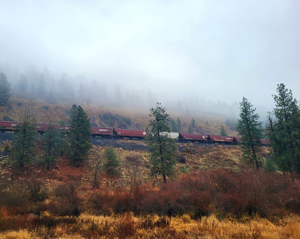 A hillside view with heavy fog and traincars.