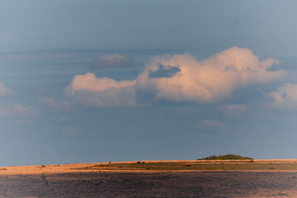 A distant Dartmoor landscape looking more light an African savanna 