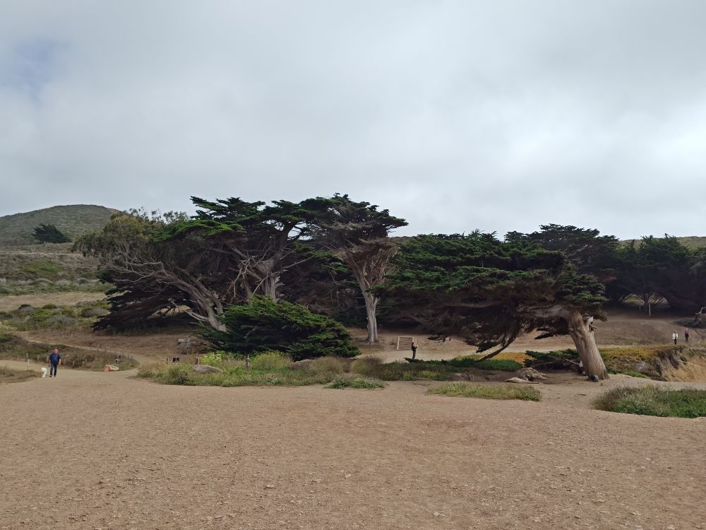 Pacifica Sharp Park at Mori Point