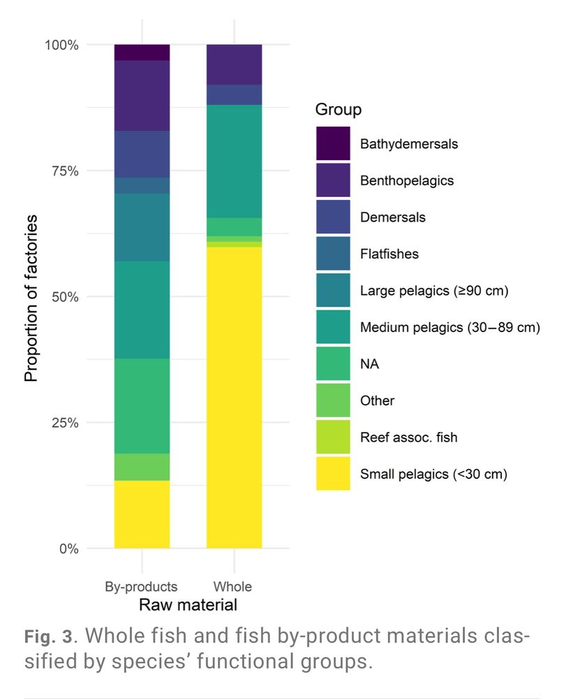 Fig. 3. Whole fish and fish by-product materials classified by species' functional groups.