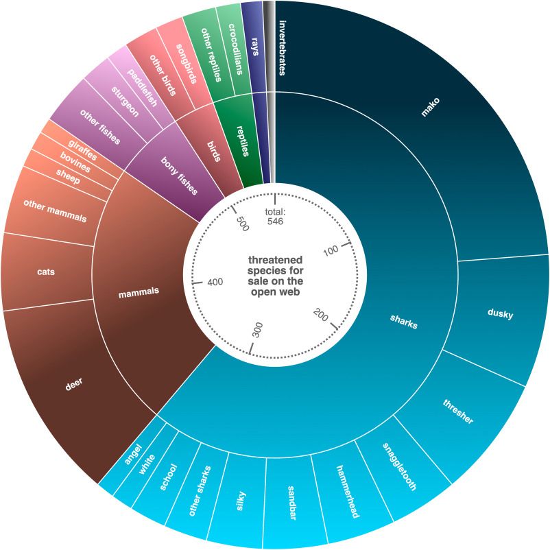 Fig. 1. Threatened animal listings in major online marketplaces: Wedges indicate the proportion of unique full matches by English and Latin scientific names identified within a 15-week automated search crawl. A total of 546 matches were identified advertising body parts or eggs of 83 species listed as vulnerable or endangered by the IUCN or banned in international trade by CITES. 96 % of listings were hosted on domains ebay.com, etsy.com, thetaxidermystore.com, and gumtree.com.