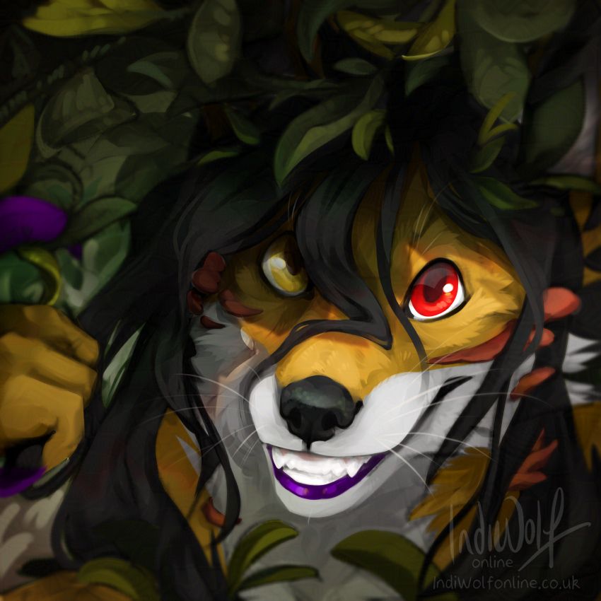 A yellow fox peers up at the canopy of leaves above them, they smile as they examine some of the vines. Mushrooms sprout from their fur adorning their face and neck.