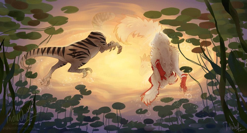 Two raptors swimming together in a lake surrounded by lily pads