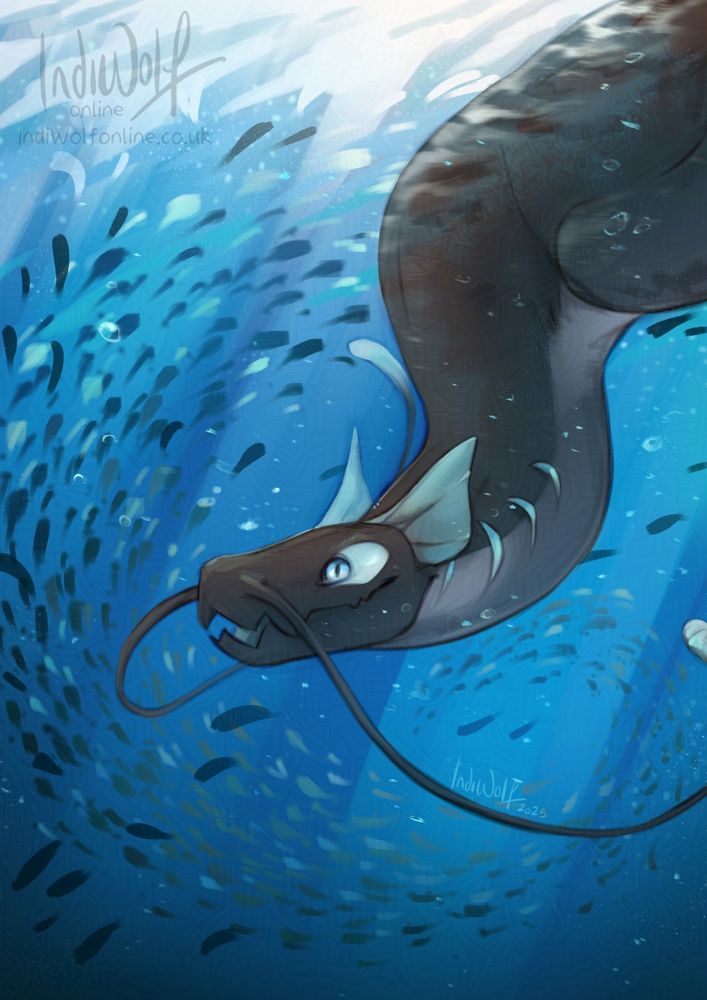 A deepdrake swims in the rich blue ocean, as a school of small fish dash by them