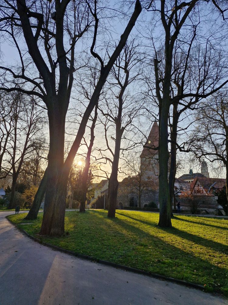 Park mit Sonne im Hintergrund 