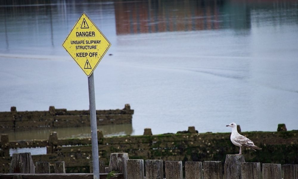 A seagull stands on a wooden structure near a warning sign that reads Danger: Unsafe Slipway Structure, Keep Off, with water in the background.