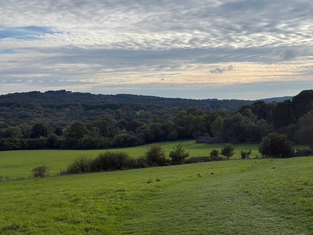 A view out over the fields near sunset