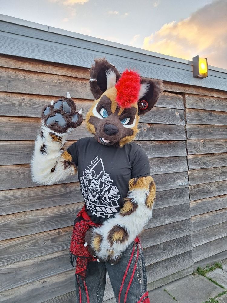 Kad the wild dog out in his trance outfit waving against a wooden fence, ready to dance and chill.